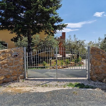 Il Panorama Lejlighed Montescudaio Eksteriør billede
