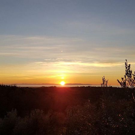 Il Panorama Lejlighed Montescudaio Eksteriør billede