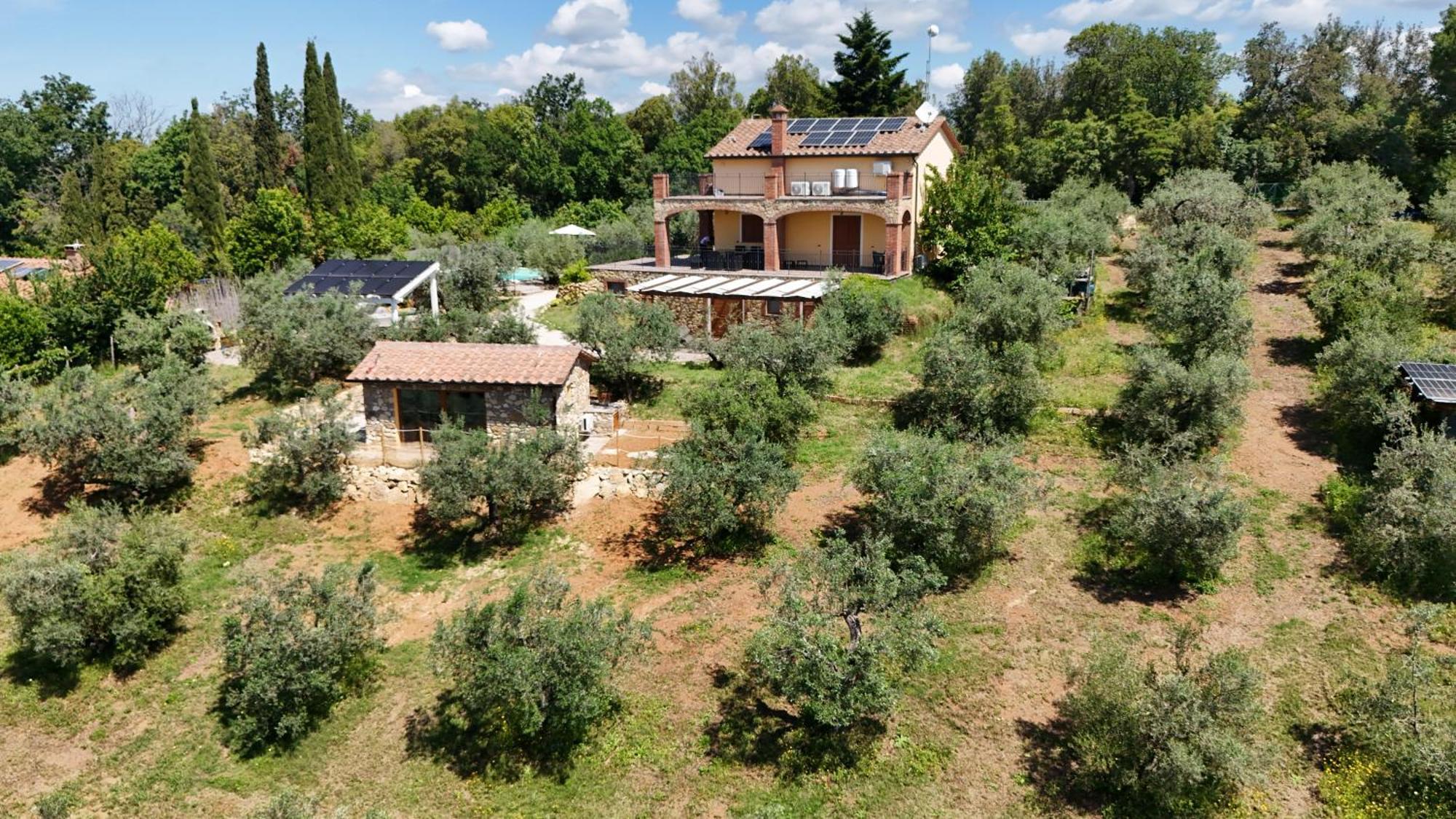 Il Panorama Lejlighed Montescudaio Eksteriør billede
