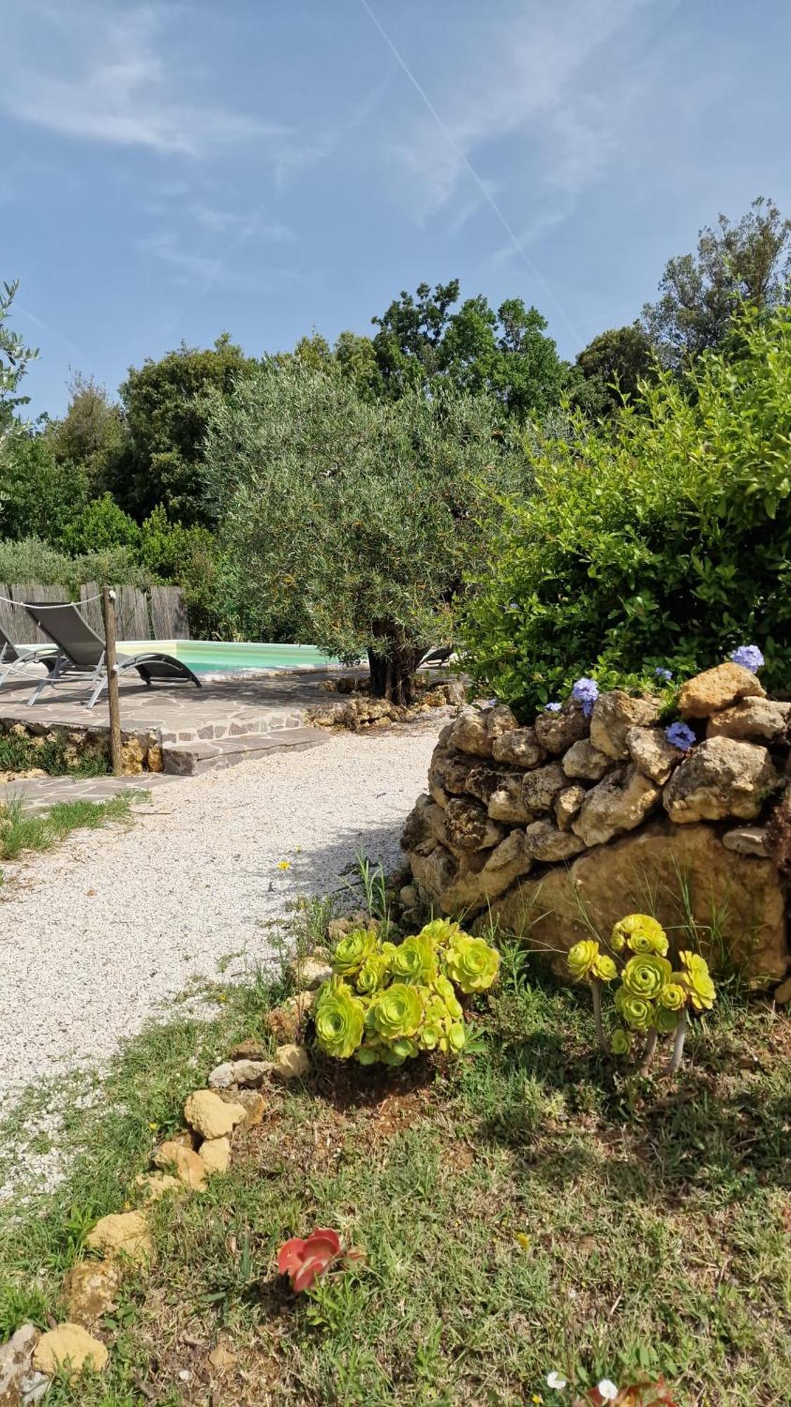 Il Panorama Lejlighed Montescudaio Eksteriør billede